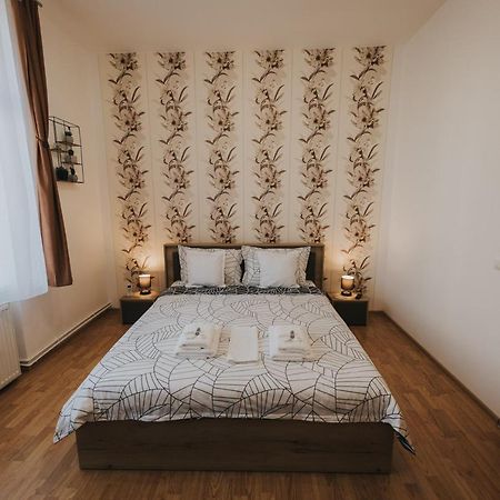 Gavri'S Classic Apartment Sibiu Ngoại thất bức ảnh