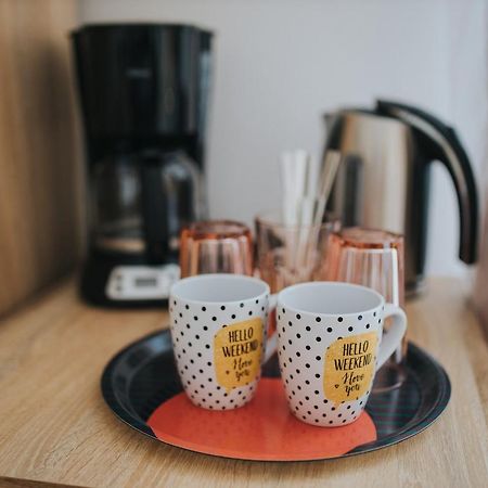 Gavri'S Classic Apartment Sibiu Ngoại thất bức ảnh